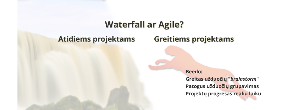 BeeDo projects, pipeline, teamwork software